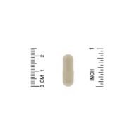 Gradvis — изображение 3